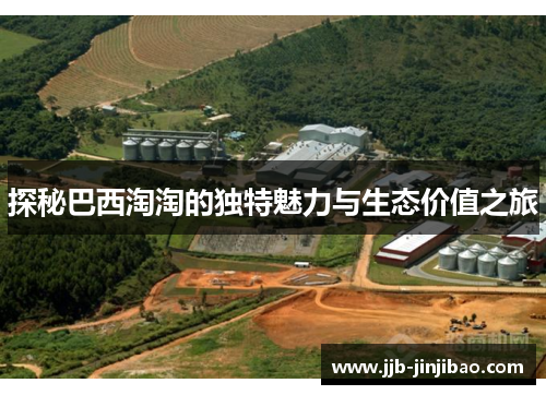 探秘巴西淘淘的独特魅力与生态价值之旅
